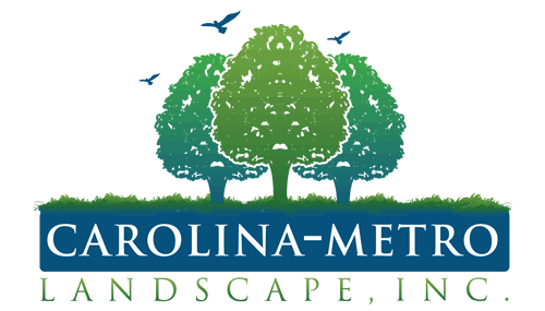 Carolina Metro Landscape
